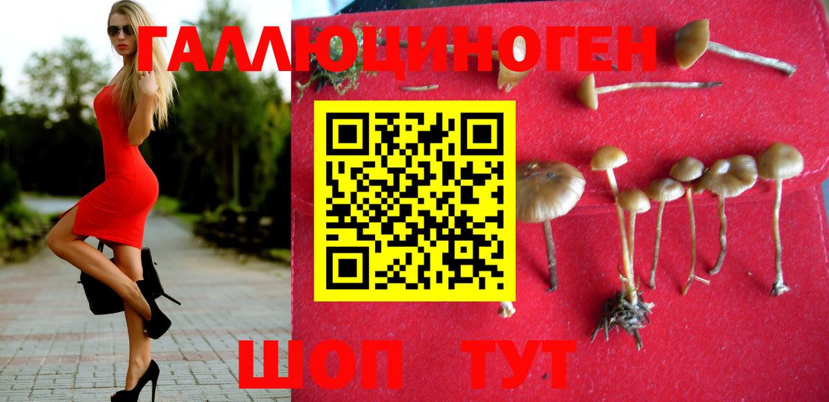 Котовск  Псилоцибиновые грибы MAGIC MUSHROOMS  Псилоцибиновые грибы GOLDEN TEACHER  Вход с VPN 
