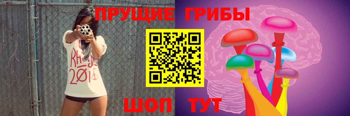 Псилоцибиновые грибы прущие грибы Котовск